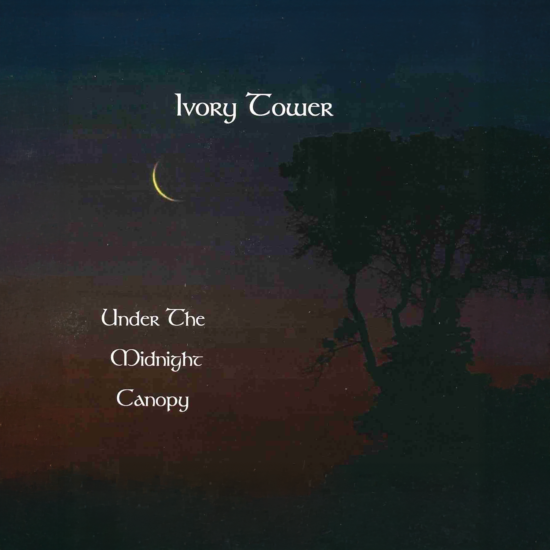 Under The Midnight Canopy